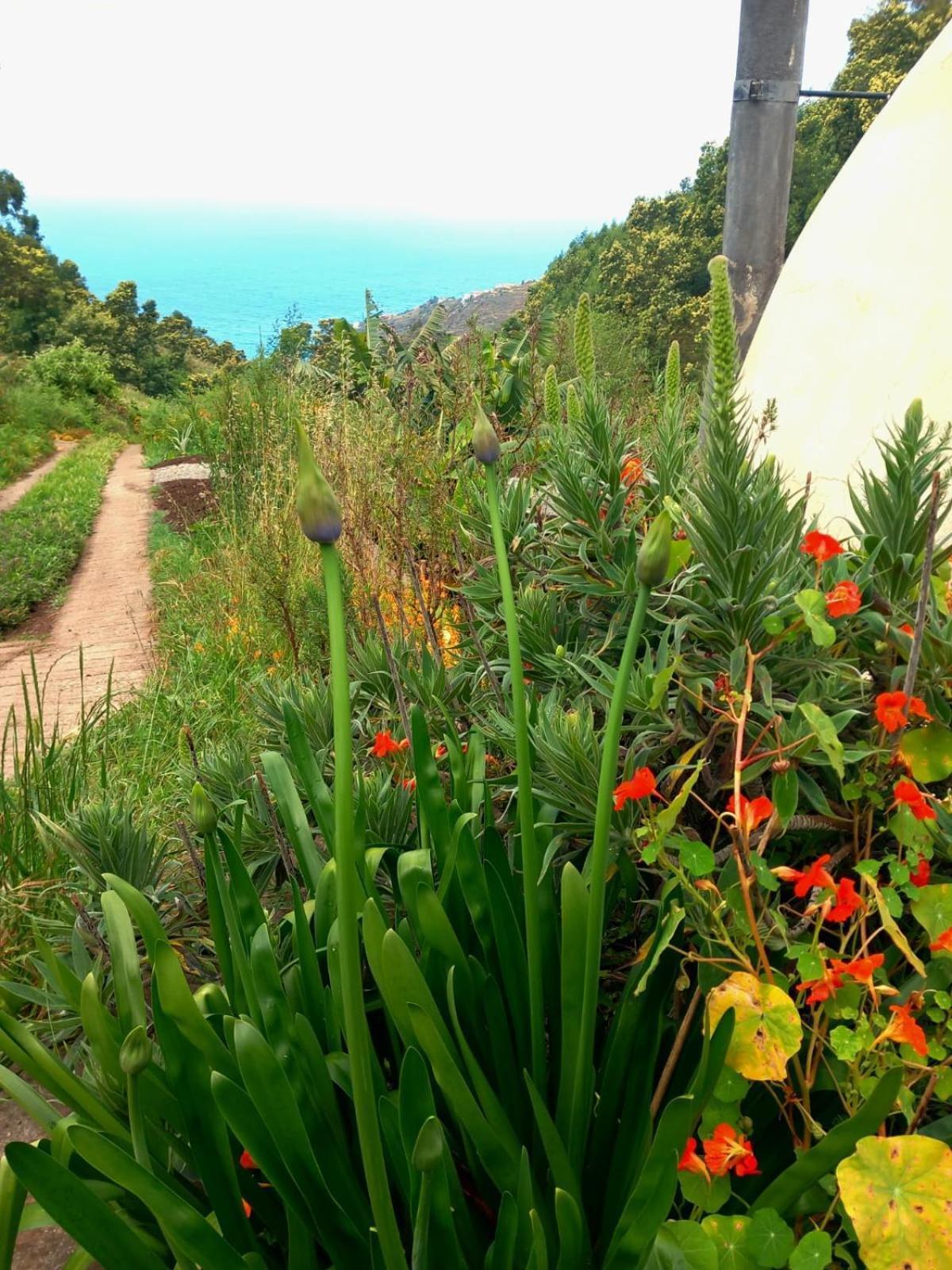 Arambha Ecovillage Farmstay Tabua  Exterior foto